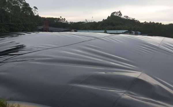 污水池用精品无码一区二区三区水蜜桃承传