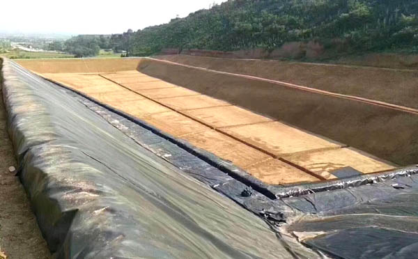 精品无码一区二区三区水蜜桃承传