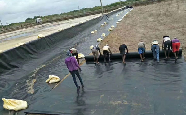 精品无码一区二区三区水蜜桃承传铺设施工