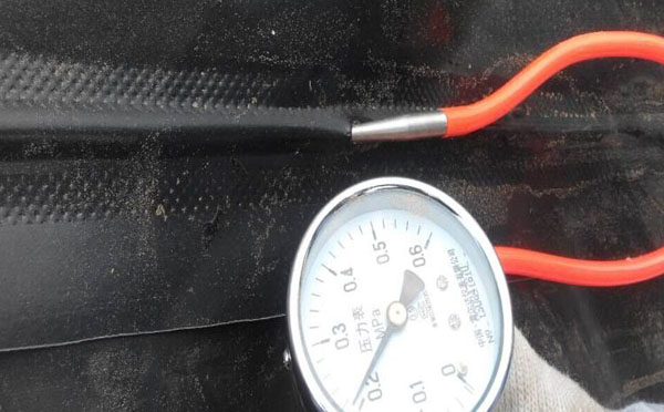 精品无码一区二区三区水蜜桃承传打压检测