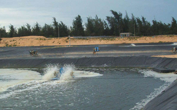 鱼塘水蜜桃久久夜色成人精品膜