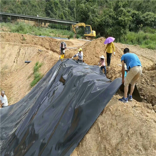 鱼塘水蜜桃久久夜色成人精品膜
