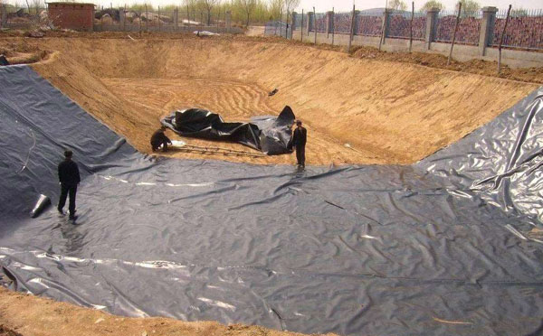 水蜜桃久久夜色成人精品精品无码一区二区三区水蜜桃承传