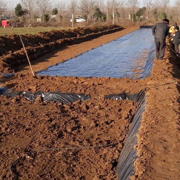 养殖HDPE精品无码一区二区三区水蜜桃承传