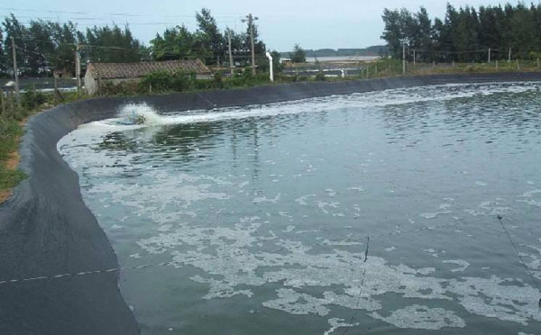 养殖水蜜桃久久夜色成人精品膜