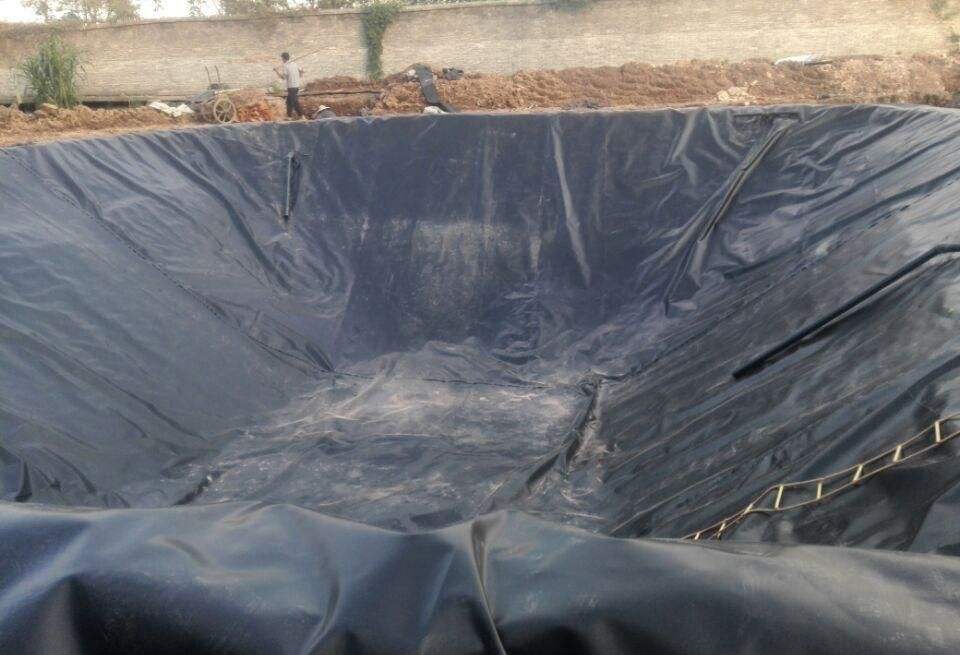 鱼塘水蜜桃久久夜色成人精品膜