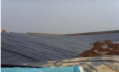 垃圾填埋场水蜜桃久久夜色成人精品膜