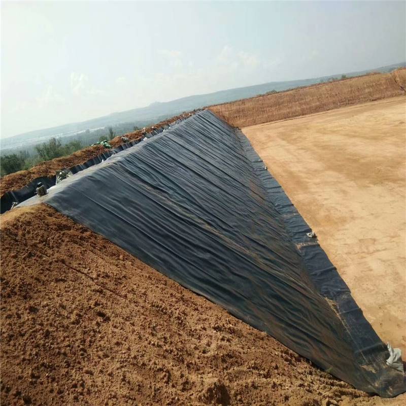 精品无码一区二区三区水蜜桃承传