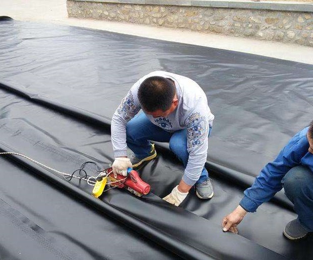 hdpe精品无码一区二区三区水蜜桃承传