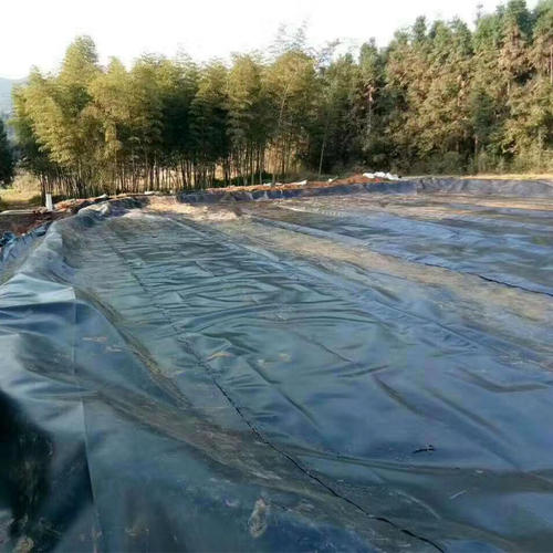鱼池水蜜桃久久夜色成人精品膜能用几年