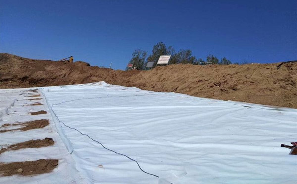 精品无码一区二区三区水蜜桃承传到底是一个什么样性质的膜