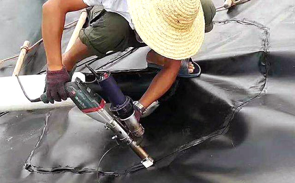 到底精品无码一区二区三区水蜜桃承传会不会污染环境呢